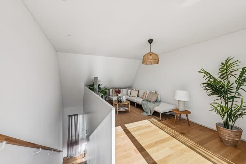 Zwei Ebenen, 33 m² Aussenraum – mitten in Baden (3)