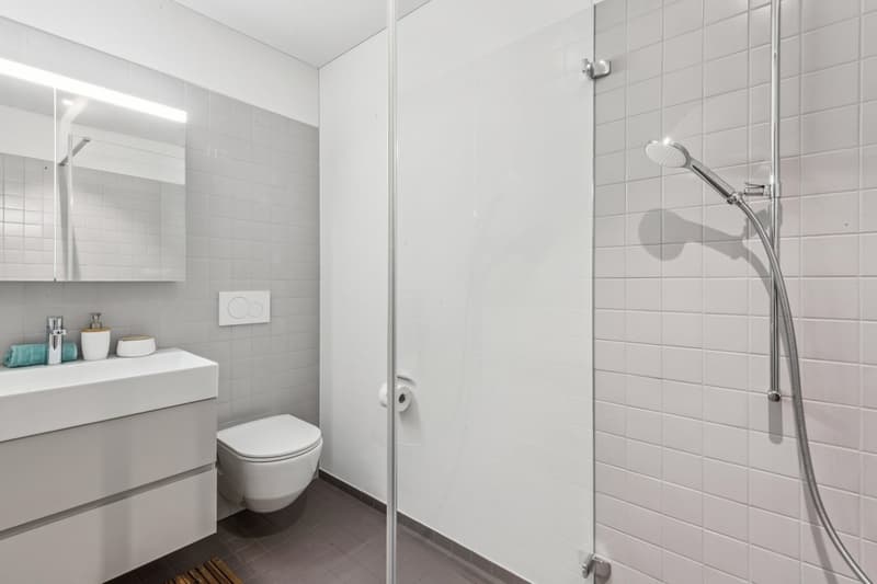 Zwei Ebenen, 33 m² Aussenraum – mitten in Baden (5)