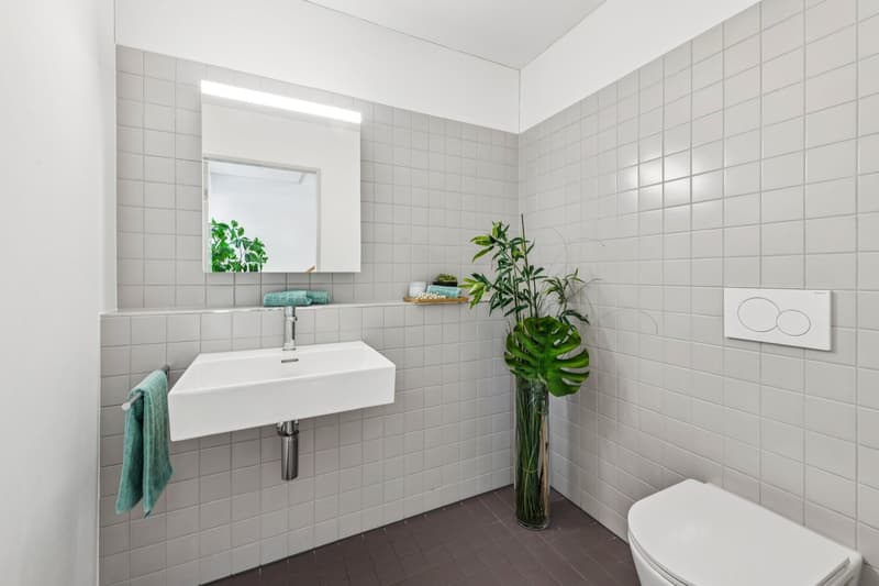 Zwei Ebenen, 33 m² Aussenraum – mitten in Baden (6)