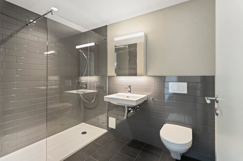Über den Dächern des Limmattals – Exklusive 2.5 Zimmer-Wohnung mit Loggia und Panoramaaussicht (4)