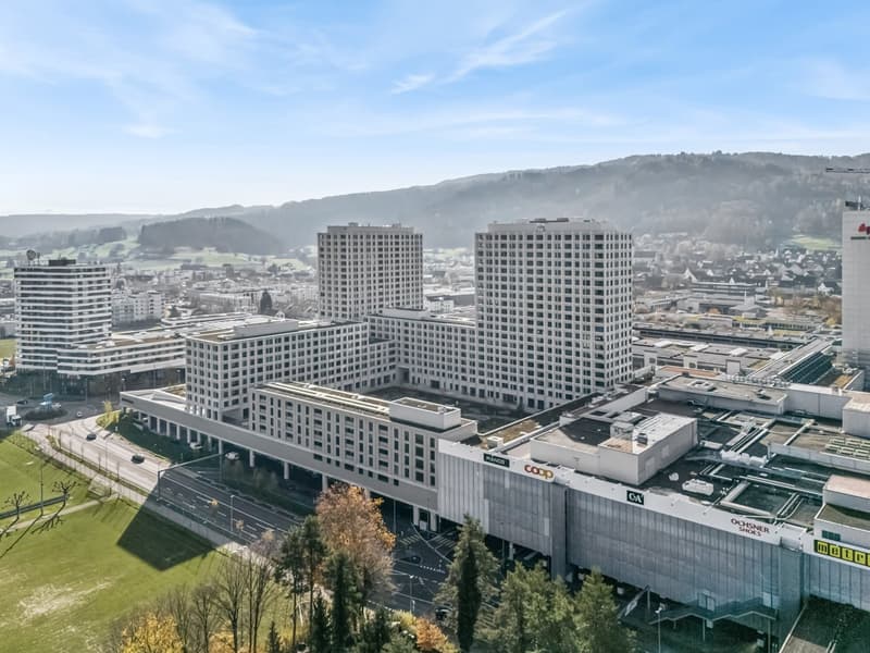Über den Dächern des Limmattals – Exklusive 2.5 Zimmer-Wohnung mit Loggia und Panoramaaussicht (1)