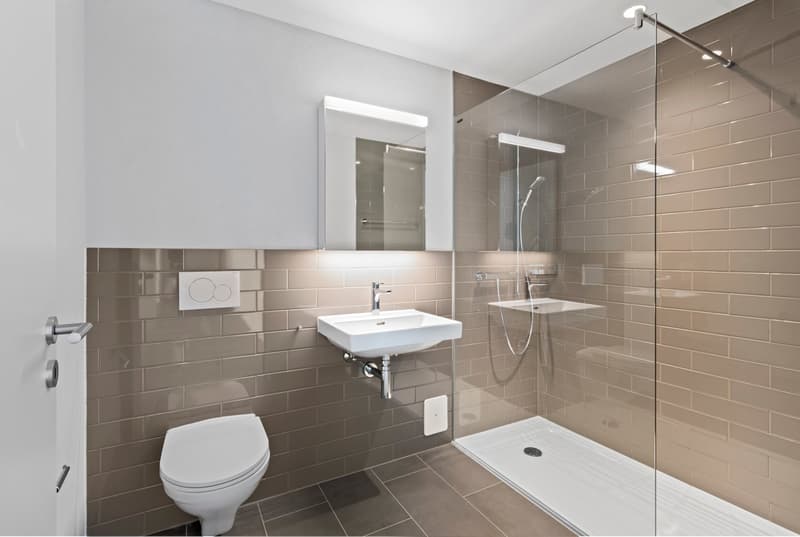 Über den Dächern des Limmattals – Exklusive 3.5-Zimmer-Wohnung mit Loggia und Panoramaaussicht (6)