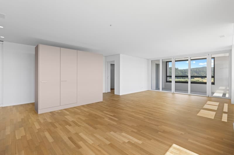Über den Dächern des Limmattals – Exklusive 3.5-Zimmer-Wohnung mit Loggia und Panoramaaussicht (4)