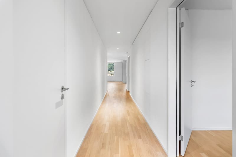 Moderne 4.5-Zimmer-Wohnung in Spreitenbach – zum Wohlfühlen (3)