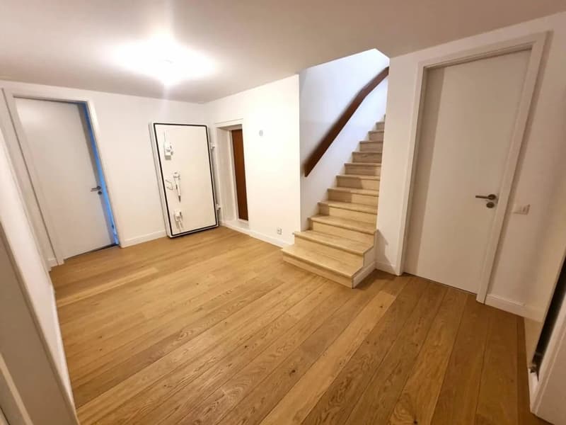 5.5-Zimmer-EFH, renoviert, grosser Garten - Niederdorf kaufen (11)