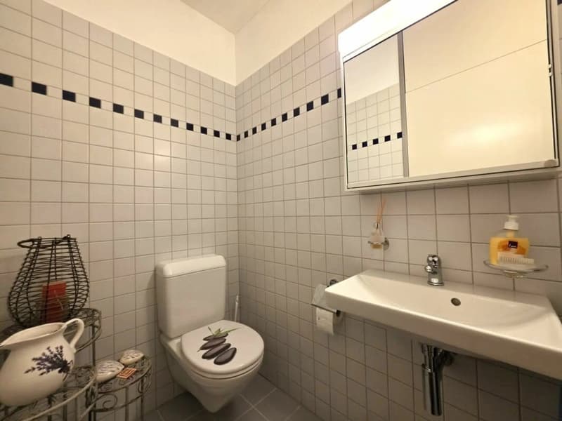 2.5-Zi.-Gartenwohnung mit grosser Terrasse in Gossau SG kaufen (12)