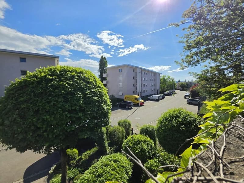 2.5-Zi.-Gartenwohnung mit grosser Terrasse in Gossau SG kaufen (4)