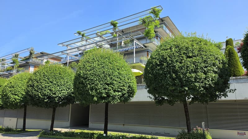 3.5-Zi.-Wohnung mit einer grosszügigen Terrasse von 70 m² in Gossau SG (3)