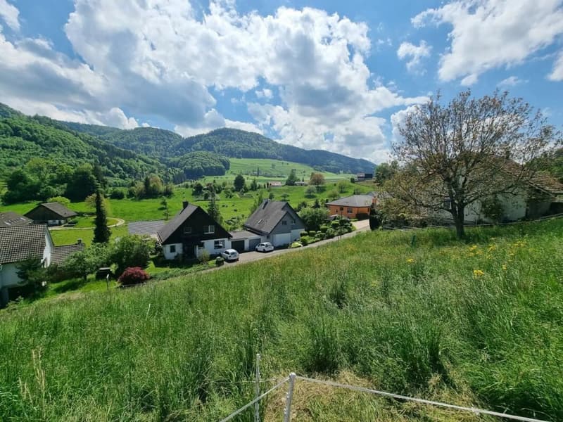 Grosses Baugrundstück mit Weitsicht in Bretzwil kaufen (6)
