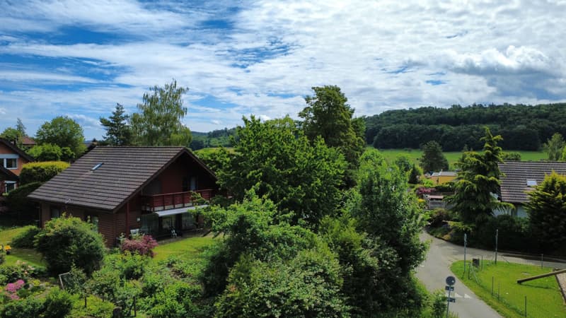 6.5-Zi.-Einfamilienhaus mit grossem Garten in Lupsingen (13)