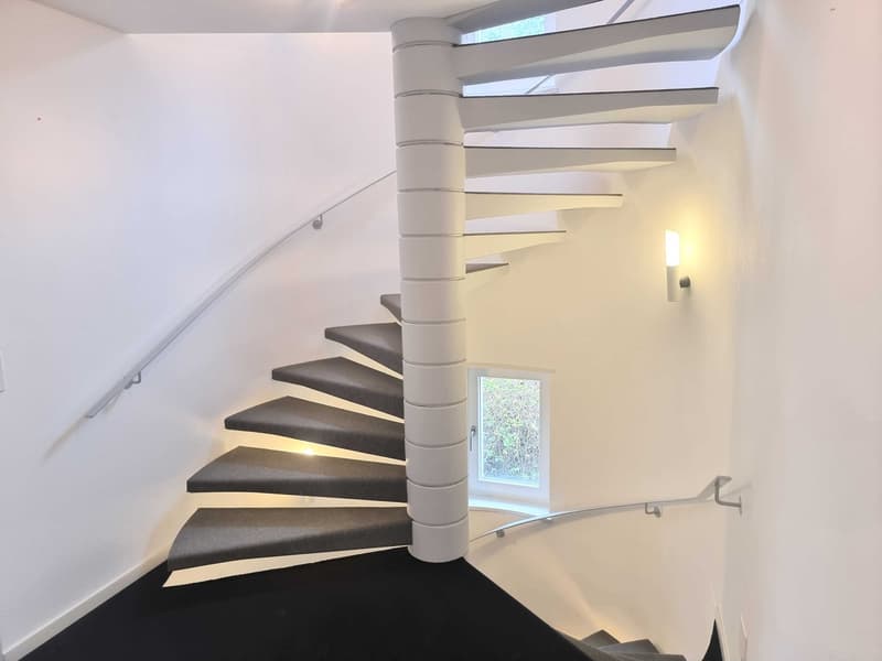 10-Zimmer-Villa mit Bergsicht und Wintergarten in Riehen kaufen (7)