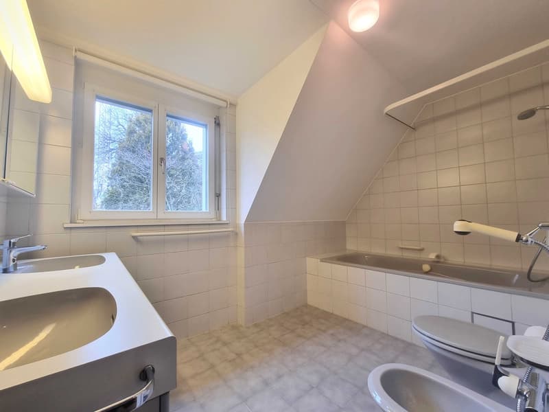 10-Zimmer-Villa mit Bergsicht und Wintergarten in Riehen kaufen (8)