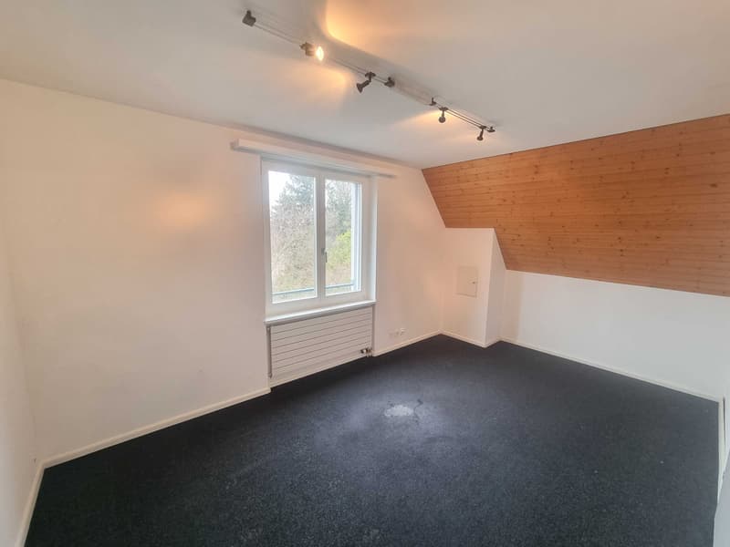10-Zimmer-Villa mit Bergsicht und Wintergarten in Riehen kaufen (6)
