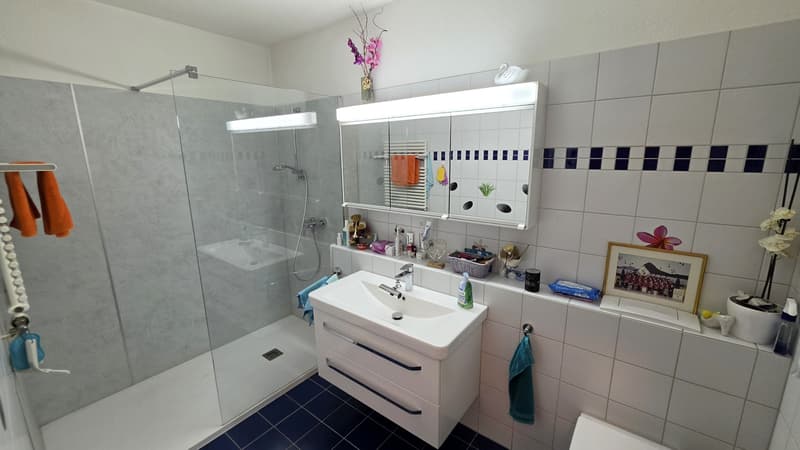 3.5-Zi.-Wohnung mit einer grosszügigen Terrasse von 70 m² in Gossau SG (8)