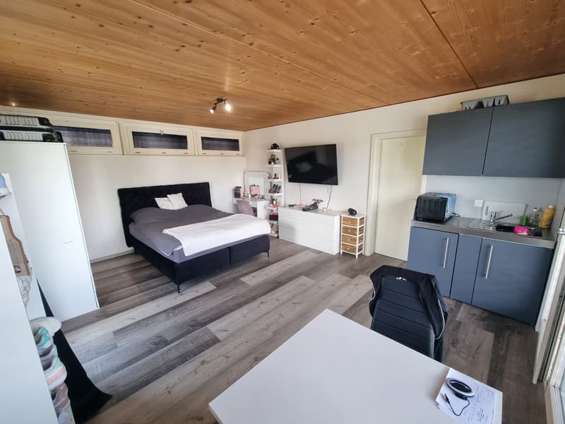 Helles 1-Zimmer-Studio mit Balkon in Wolfwil mieten (1)