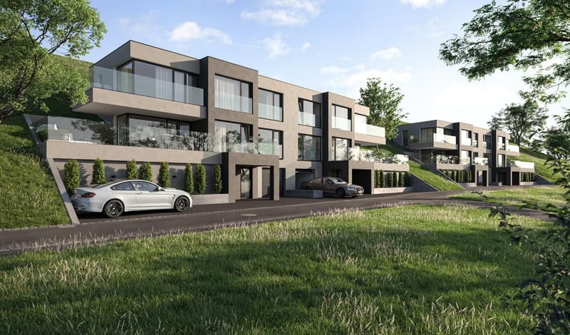 Familienfreundliches 4.5-Zi. Doppel-Einfamilienhaus mit Sonnenterrasse in Zwingen kaufen (2)