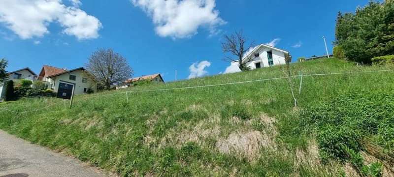 Grosses Baugrundstück mit Weitsicht in Bretzwil kaufen (7)