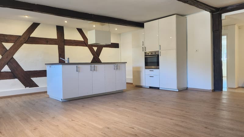 3.5-Zimmer-Dachwohnung mit Charme in Kaiserstuhl mieten (1)
