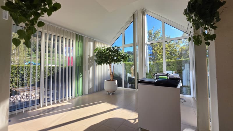 Helles 5.5-Zimmer-Einfamilienhaus in Titterten kaufen (9)