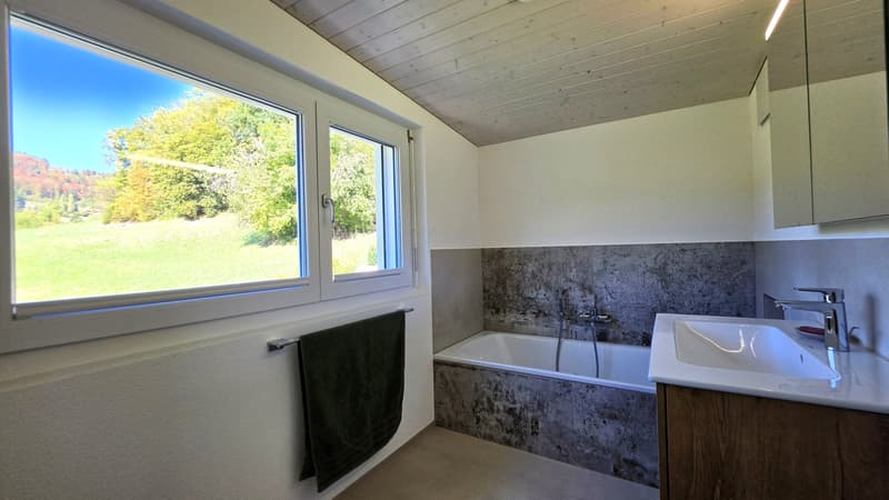 Modernes 5.5-Zi.-Einfamilienhaus mit Aussicht in Reigoldswil (11)