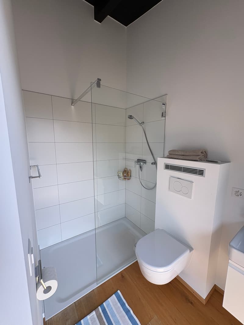 Savièse (VS) Magnifique attique de deux chambres en suite  avec vue panoramique sur les montagnes (12)