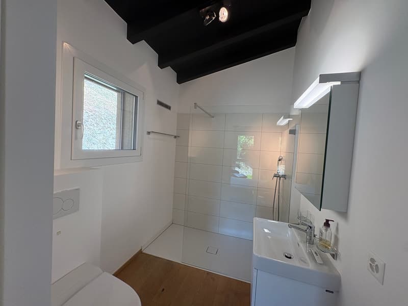 Savièse (VS) Magnifique attique de deux chambres en suite  avec vue panoramique sur les montagnes (10)
