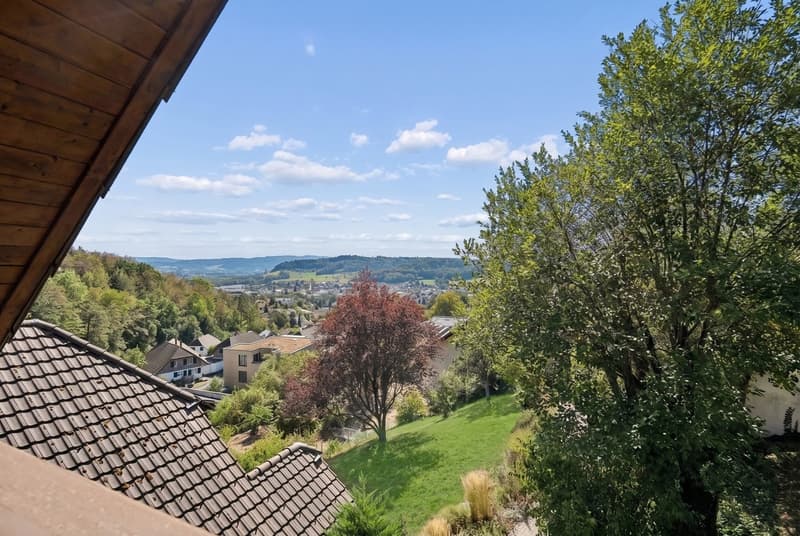 Charmantes Einfamilienhaus mit Charakter in Erlinsbach (17)