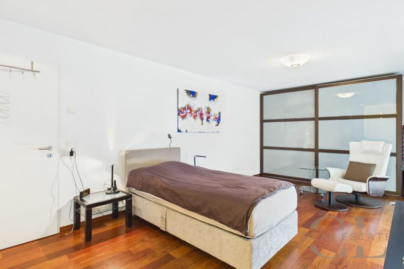 5.5 Zimmer-Wohnung an unverbaubarer Lage mit zwei Einstellplätzen (18)