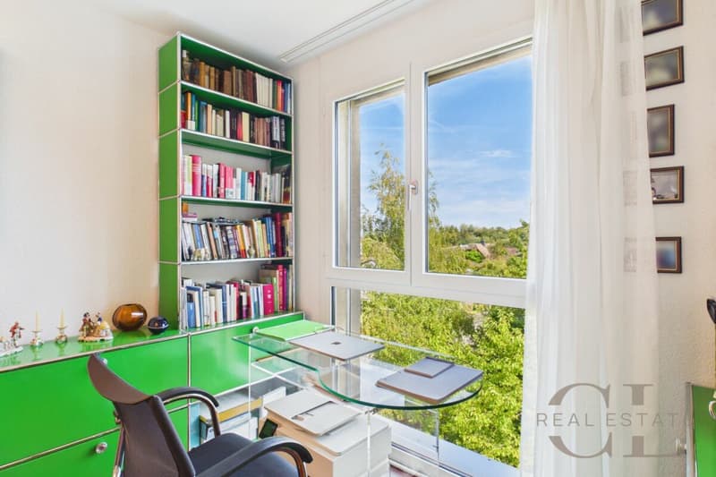 5.5 Zimmer-Wohnung an unverbaubarer Lage mit zwei Einstellplätzen (13)