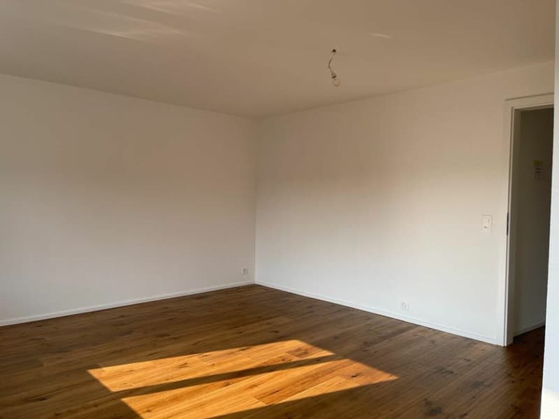 Stilvolles 4 Zimmer-Reihenhaus mit Garten in Oberwil (8)