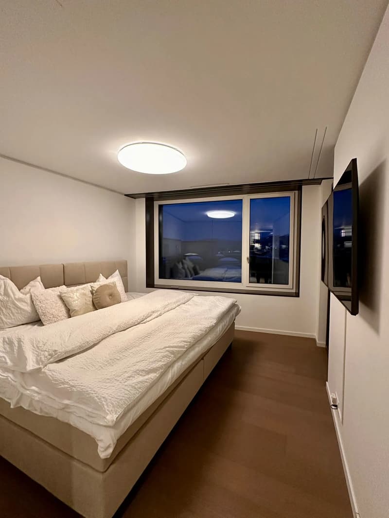Moderne 3.5-Zimmer-Wohnung mit Weitsicht in Dietikon (7)