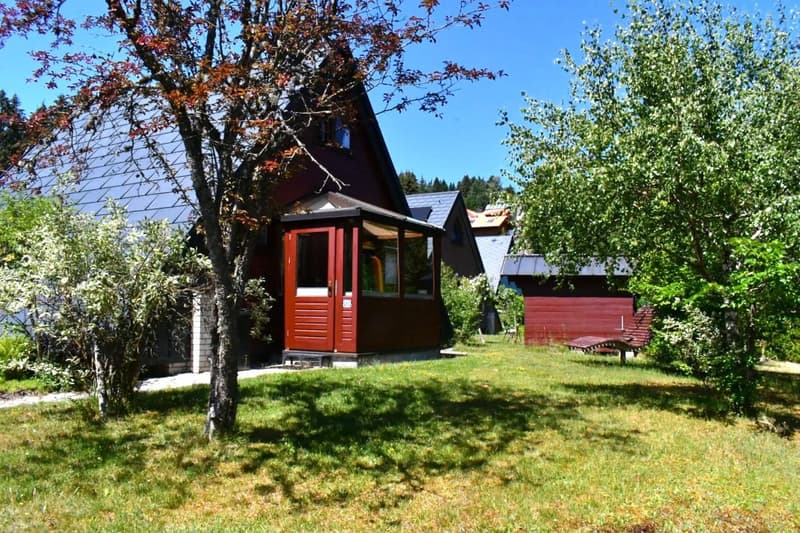 Ferienhaus am Feldberg / Deutschland (12)