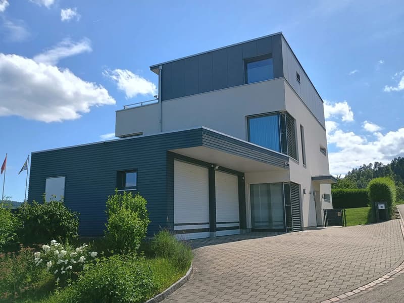 Moderne Villa: Nur 25 Min. nach Baden & 45 Min. nach Zürich/Basel (2)