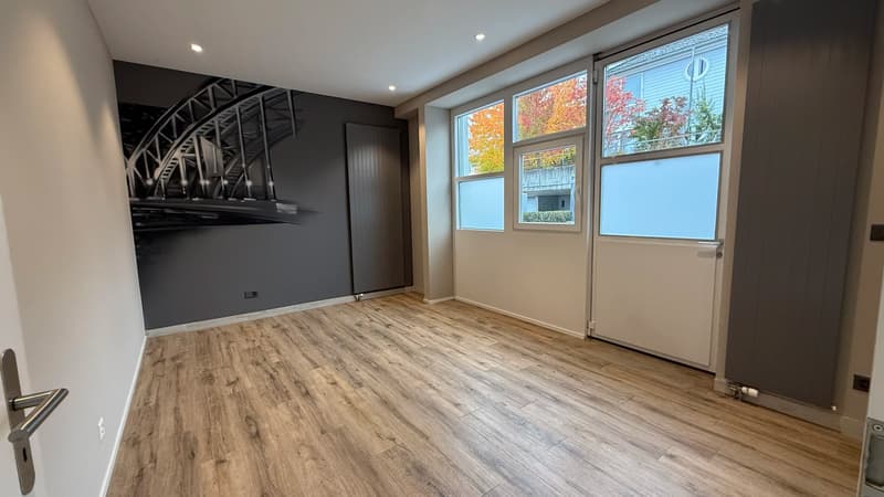 Modernes, spektakuläres Loft mit Seeblick und einer Höhe bis zu 8 Meter (9)