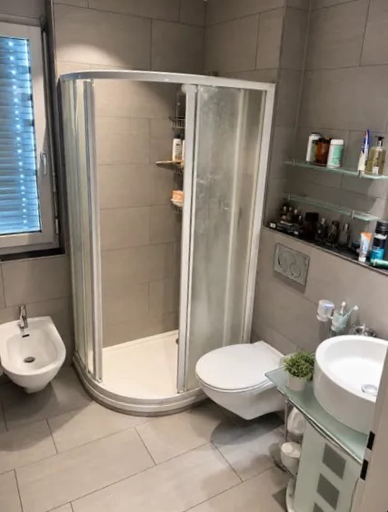 Wohnung in Zentrum von Wettingen (2)