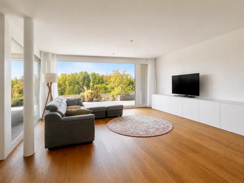 Grosszügige 4.5-Zimmer-Terrassenwohnung mit Aussicht auf die Reuss und das Naturschutzgebiet (2)