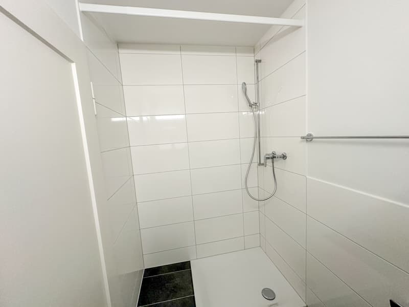 Helle 3-Zimmer-Dachwohnung mit Balkon nähe Wasgenring zu vermieten (7)