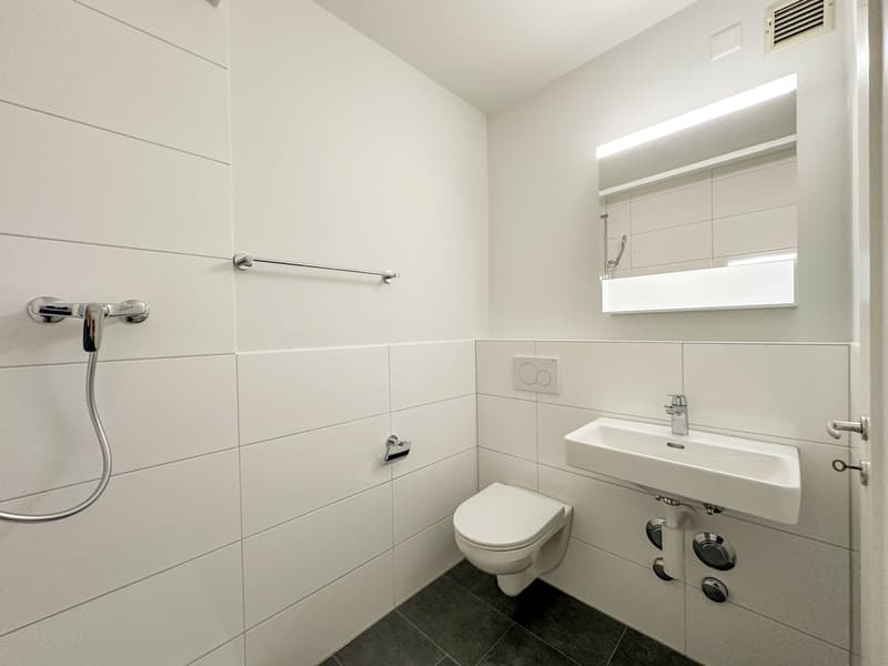 Helle 3-Zimmer-Dachwohnung mit Balkon nähe Wasgenring zu vermieten (8)