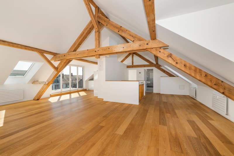 Grosszügige 2.5-Zimmer-Dachwohnung mit Charakter in Basel (2)