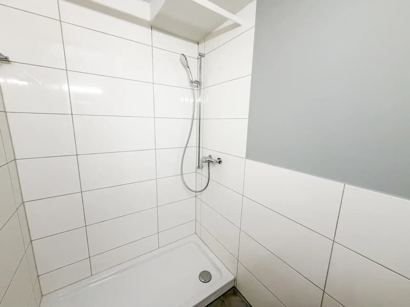 3-Zimmerwohnung mit Balkon ins Grüne in Basel mieten (10)