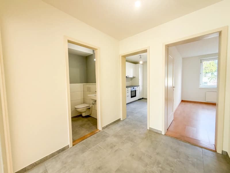 3-Zimmerwohnung mit Balkon ins Grüne in Basel mieten (11)