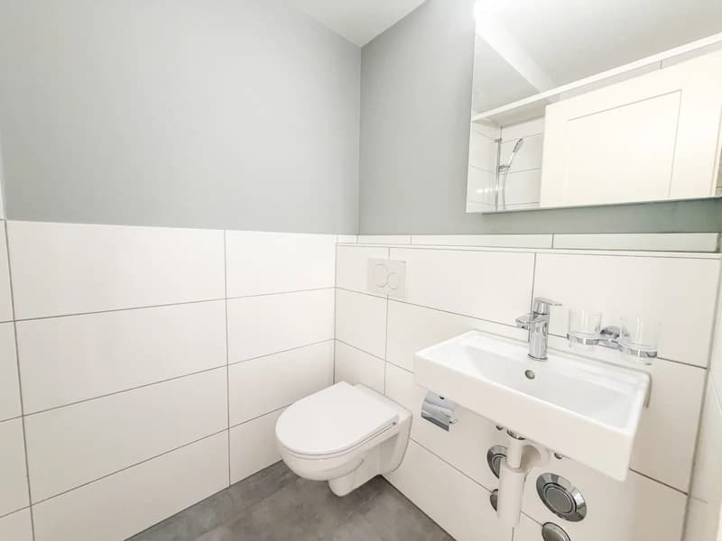 3-Zimmerwohnung mit Balkon ins Grüne in Basel mieten (9)