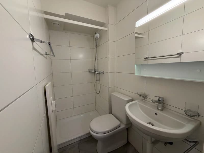 1-Zimmer-Wohnung mit Lift im 4. OG in Basel-Gundeldingen mieten (6)