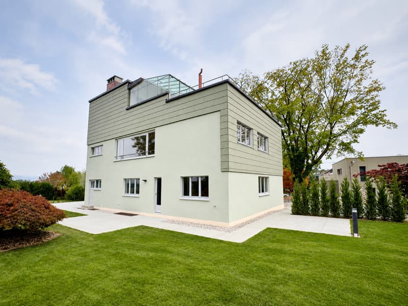 Duplex avec terrasse sur le toit et jardin privatif de 670m2 (1)