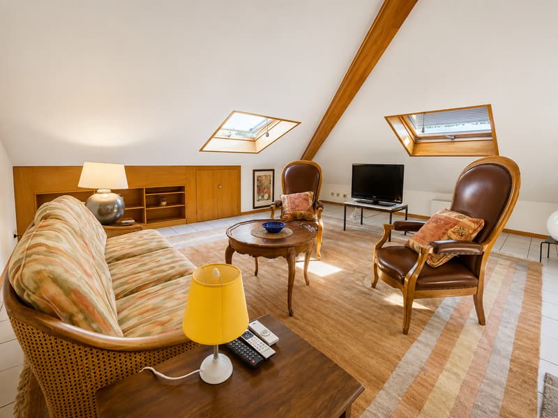 Superbe 3 pièces avec entrée indépendante dans une villa (3)