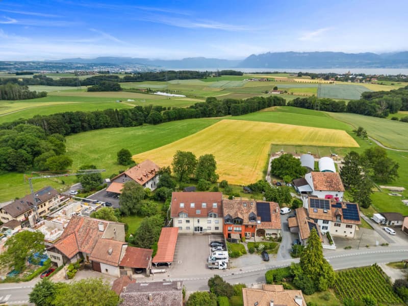 Charmant 3.5 pièces avec balcon et vue dégagée (13)