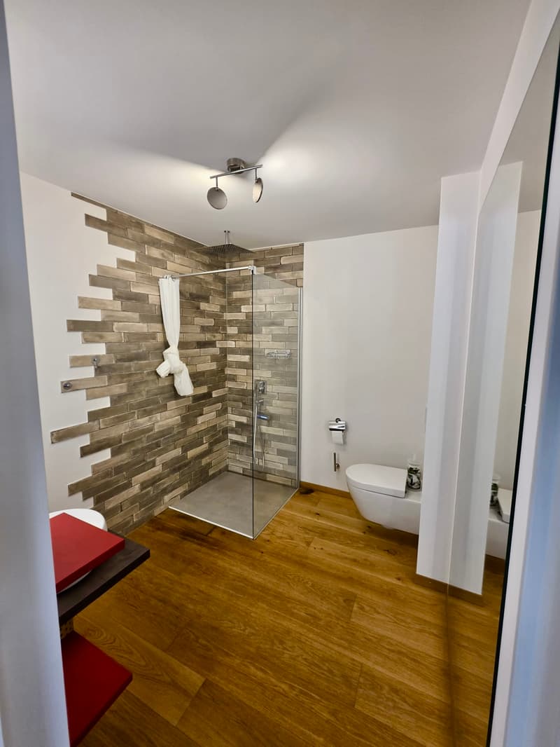 Loft moderne au c?ur de Monthey (6)