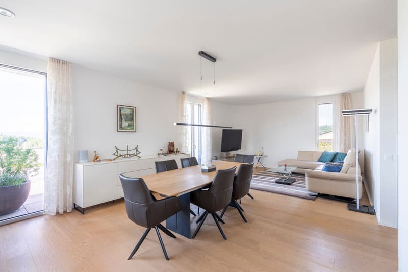 Wunderschöne 4.5-Zimmer-Attika mit Weitblick (5)