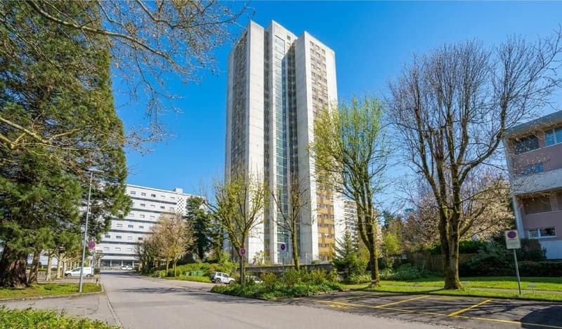 Über den Dächern von Spreitenbach - 3.5 Zimmer-Wohnung mit Weitsicht (11)