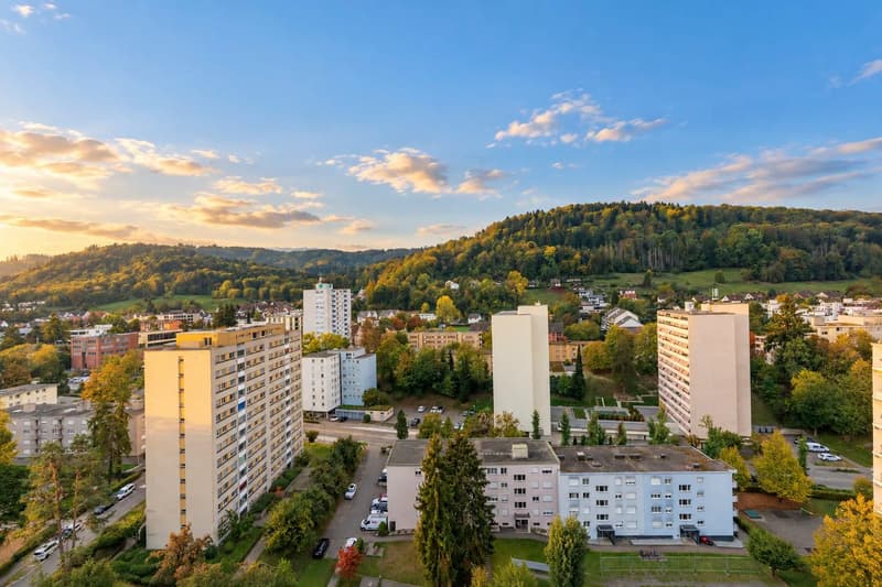 Über den Dächern von Spreitenbach - 3.5 Zimmer-Wohnung mit Weitsicht (10)